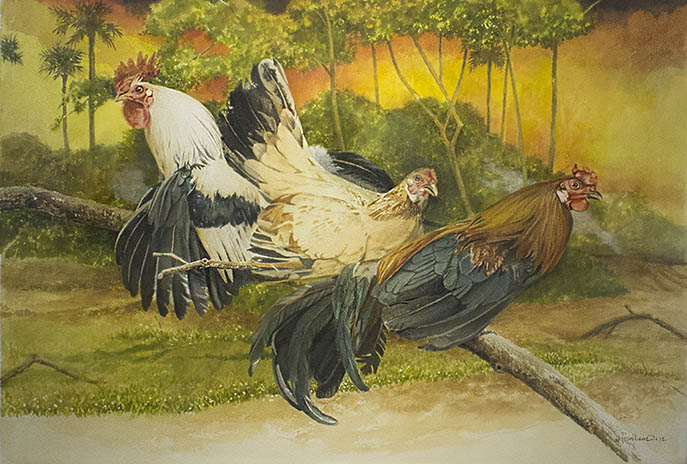 Roosting Fowl