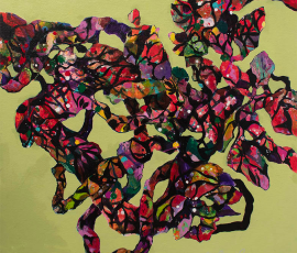 Chlorophyll Rhapsody Quial