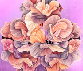Blush Petal Harmony
