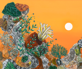 Coral Sunrise
