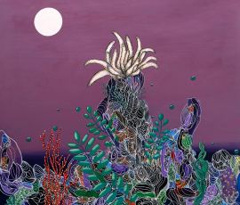 Coral Wonder