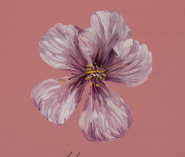 Benignus