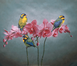 Trio in Hush
