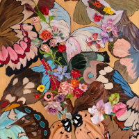 To Unveil the Wings of My Metamorphosis